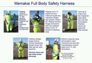cara pemakaian body hardness